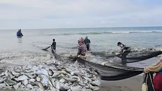 Most Amazing Beach Trawl Net Catching Fish with Circle Net On Beach