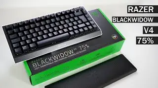 Unboxing RAZER BlackWidow V4 75% Compact Mechanical Gaming Keyboard