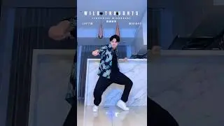 #DjKhaled  - &lsquo;Wild Thoughts&lsquo; Dance Cover (Tutorial & Mirrored) #remix #Rihanna #beyonce