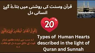 Types of Hearts described in Quran & sunnah قرآن وسنت کی روشنی میں بتاۓ گیۓ انسانی دل #islaminfo