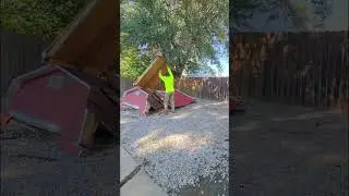 🚨 Shed Removal in Arlington, TX! 🚨This old backyard shed was taking up space and falling apart.
