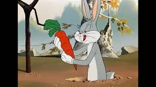 Carrots are Divine (HD 1080p)
