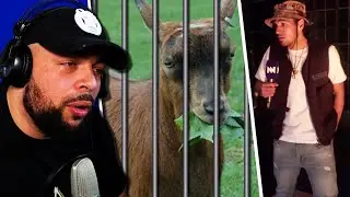 FREE GITTA DE GOAT