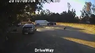 Rottweiler Vs Coyote