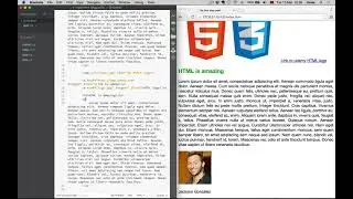 10. Difference Between Classes and ID in CSS | HTML | JAVASCRIPT