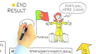 The Internal Market Information System (IMI)