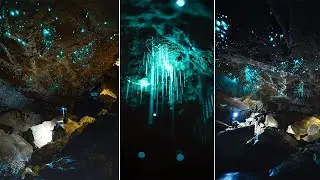 how to photograph glow worms