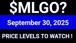 MLGO Stock (MicroAlgo, Inc.) MLGO Stock Analysis | September 30, 2025