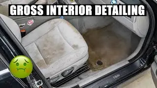 Filthiest BMW E90 Interior I&rsquo;ve Seen &ndash; Deep Clean & Restore
