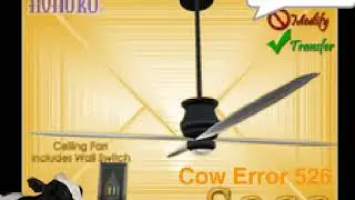 Cow Error 526