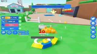 how to play pet evolution
