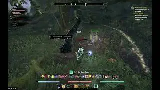 Elder Scrolls Online Targeting Bug 2025 05 26 00 31 15