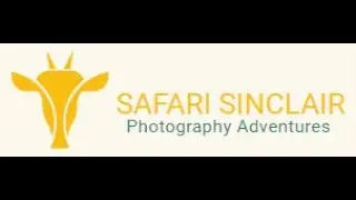 Wildlife Photography Workshops Courses & Guided Photography Safaris UK