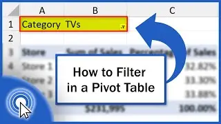 How to Filter in a Pivot Table (Quick and Easy)
