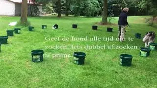 Hondenspelletjes 3 - Sorteren - zoekspel met emmers of dozen