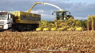 John Deere - Fendt - MAN / Maissilage - Silaging Maize  2020