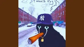 if i wanted
