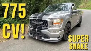 F150 SHELBY SUPER SNAKE: a serpente venenosa da Ford com supercharger e 775 cv!