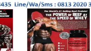 TELP. 0813 2020 3435 (TSEL), Jual Carnivor, Jual Carnivor Beef Protein