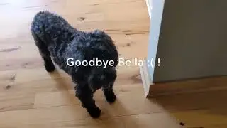 Vlog 2: Goodbyes are hard