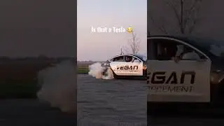 How to drift a Tesla model 3 RWD