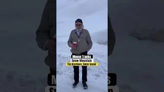 Лосиные следы снежной ночью в заливе Сн'Оуэн-Саунд.