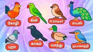 பறவைகளின் பெயர்கள் | Birds name Tamil and English | kids educational videos @KUTTYCHUTTIES_2025