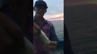 Đ&aacute;nh lưới c&aacute; ch&eacute;t biển coco beachcamp lagi b&igrave;nh thuận