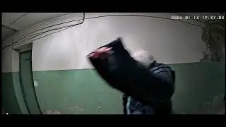 Продолжение циркового шоу от главного клоуна тафинцевой