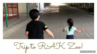 Dave&Julia&rsquo;s Trip to Rak Zoo