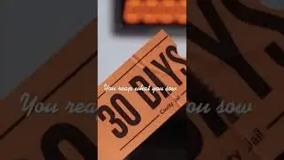 POV: Main character energy meets court reality&mdash;Karma machine prints 30 DAYS.
