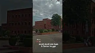 finally hum b senior ho gye #creatingmemories #university #iiui #iiuislamabad #college #vlog #fact