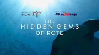 THE HIDDEN GEMS OF ROTE