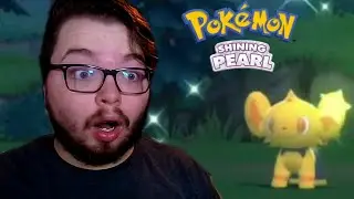 I got the best shiny in Pokemon BDSP