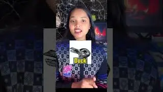 Psychology Behind This Image: Duck Or rabbit &bull; Duck 🦆 vs Rabbit 🐰: Brain Test! #Brain