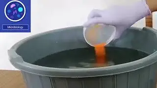 glassware washing with chromic acid solution | formation of chromic acid solution | #microbiology