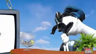 Chat with your old pal Sock Cop