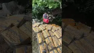 This is why there is no slippage in Brazil #cement #bags #viralreels #explore