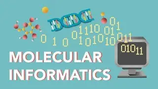 What is Molecular Informatics?