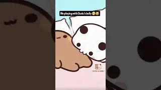 Dudu&rsquo;s Belly is the Best Toy! 🐼💨 #dudububu #Cute