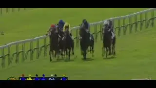 @12:58 LONGCHAMP 2024/09/08 favourite winner (ONBUDSMAN) 4to7 W BUICK 🤑💵🤑💵🤑💵