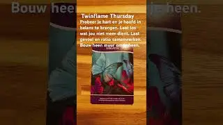 Twinflame Thursday #twinflame #relaties #tweelingzielenproces #tweelingziel #tweelingvlammen