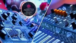 Ambient // Organic Techno // DUB [EP-295]