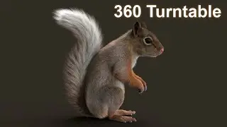 Brown squirrel 360 turntable | CG Creature artist #stynsour
