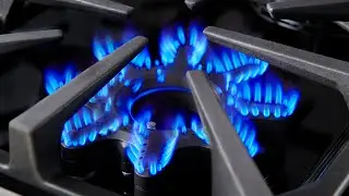 Bluestar X-8 Dual Fuel Burner