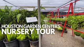 Houston Garden Centers: Indoor Plant Shopping In Texas