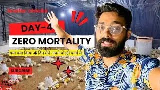 Winter Poultry Batch | Day - 4 In Poultry Farm | Winter Management In Poultry #uttarakhandpoultry