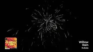 Willow Rain by Fox Fireworks