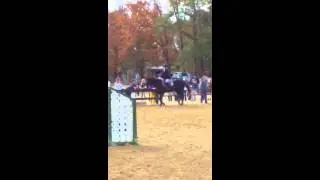Grace Adv.WTC- ECU 11/13