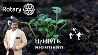 Rotary 3203 PETS & SETS